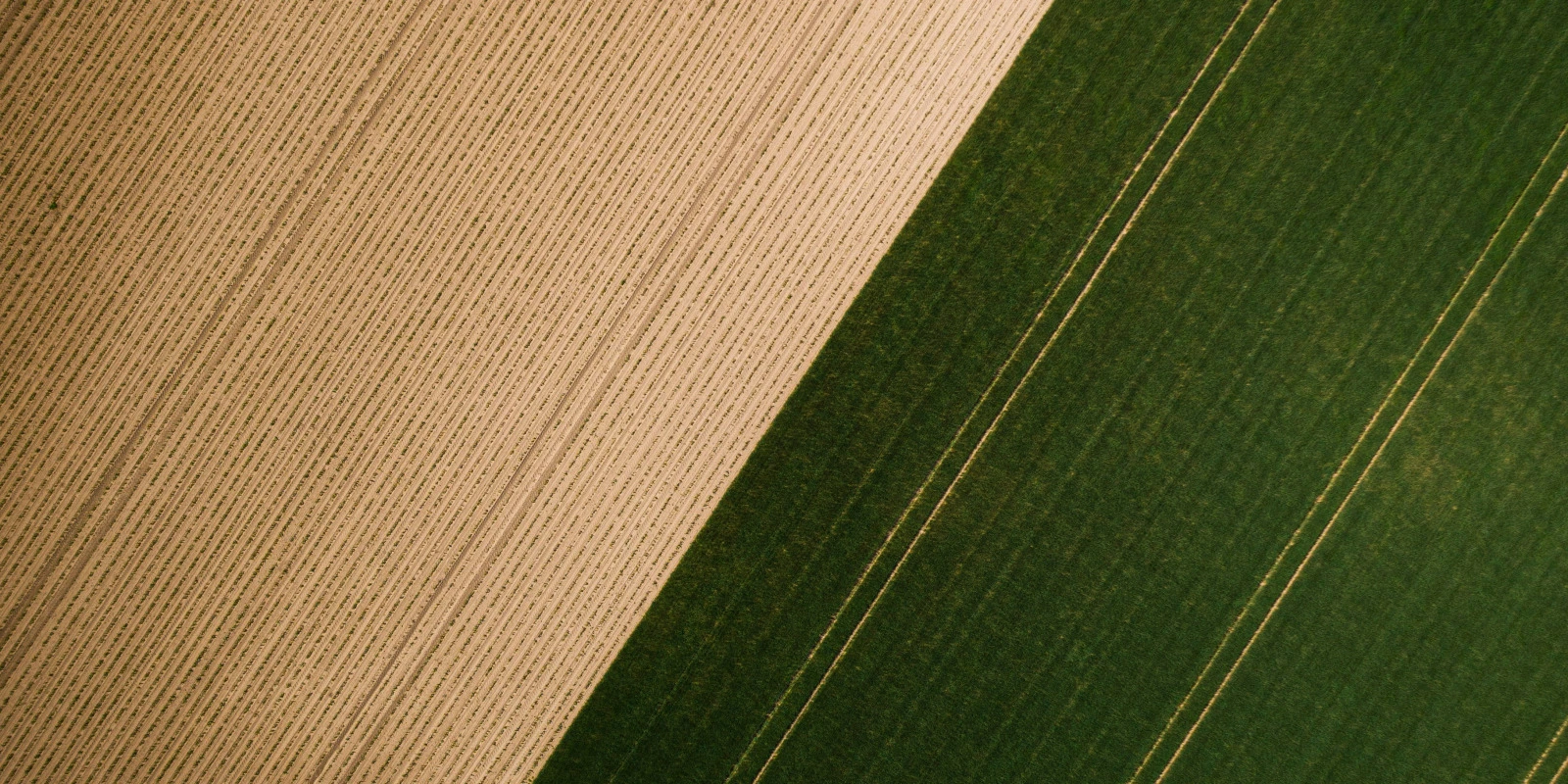 Faire un Double Diplôme en Licence Info-Com