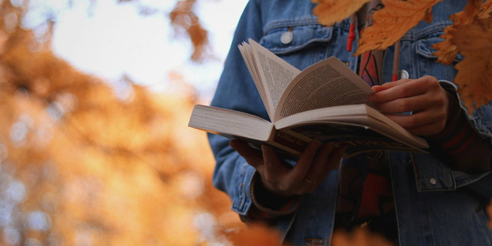 Former les Étudiants en Licence Info-Com