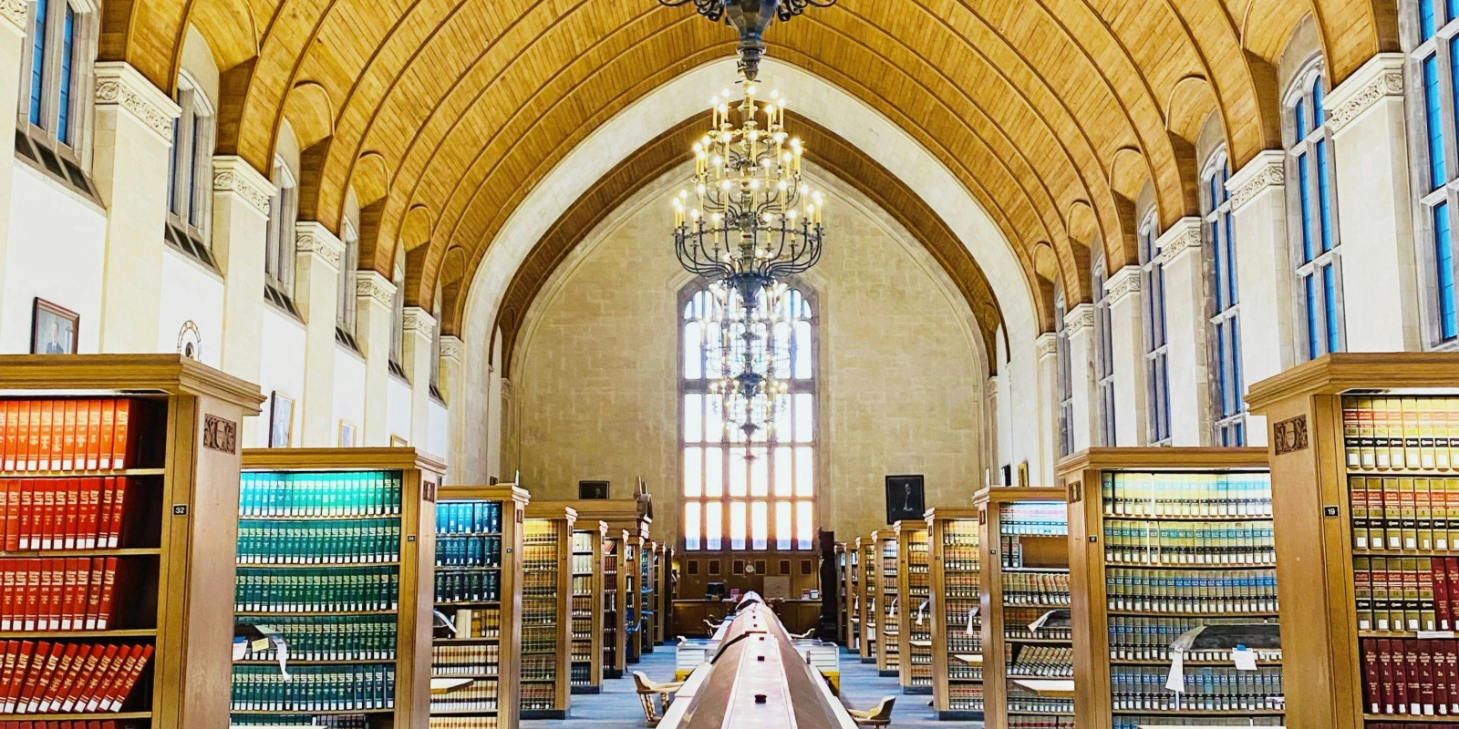 Licence Info-Com à Chambéry : Profil et Avis