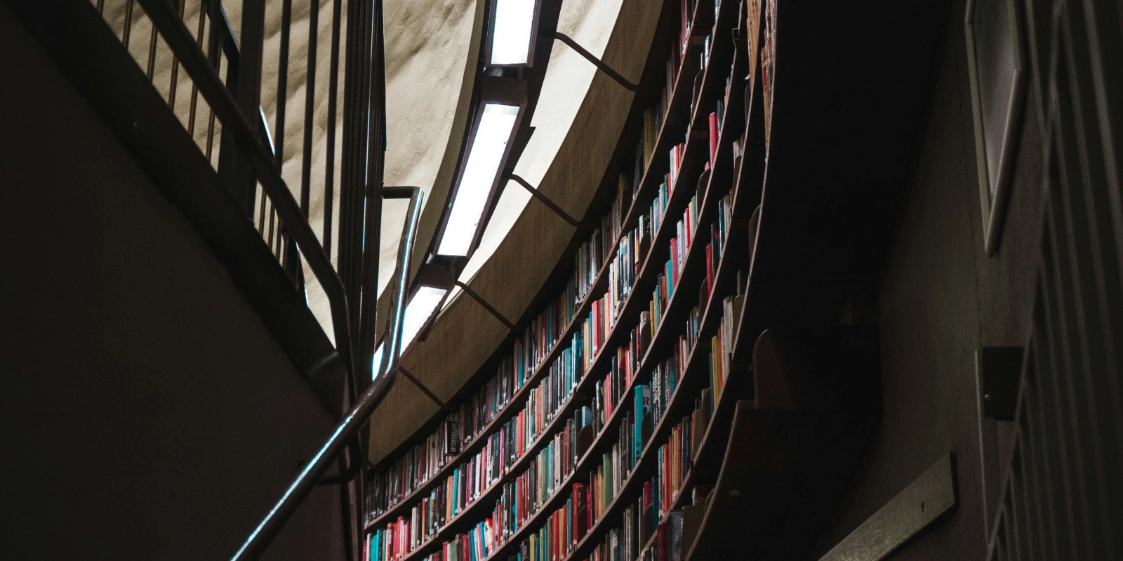 Licence Info-Com à Lyon 3 : Avis et Informations