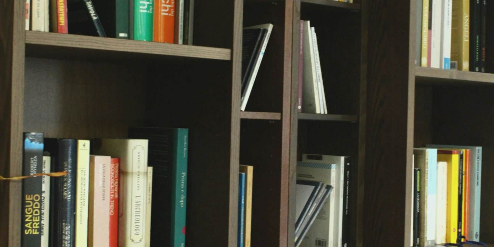 Licence Info-Com à Marseille : Profil et Avis Licence Info-Com à Marseille : Profil et Avis