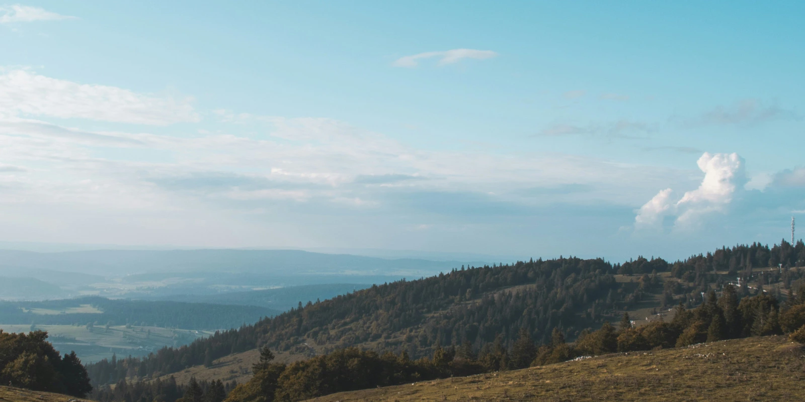 Licence Info-Com et Carrière en Événementiel