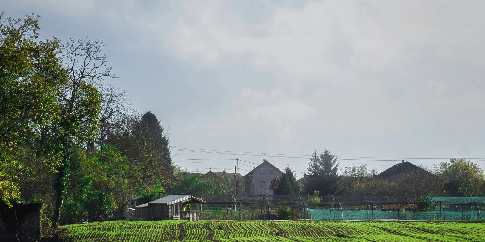 Que Faire Après une Licence Info-Com ?