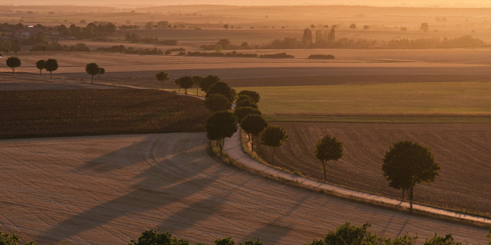 Sciences de l'Information et de la Communication : Définition