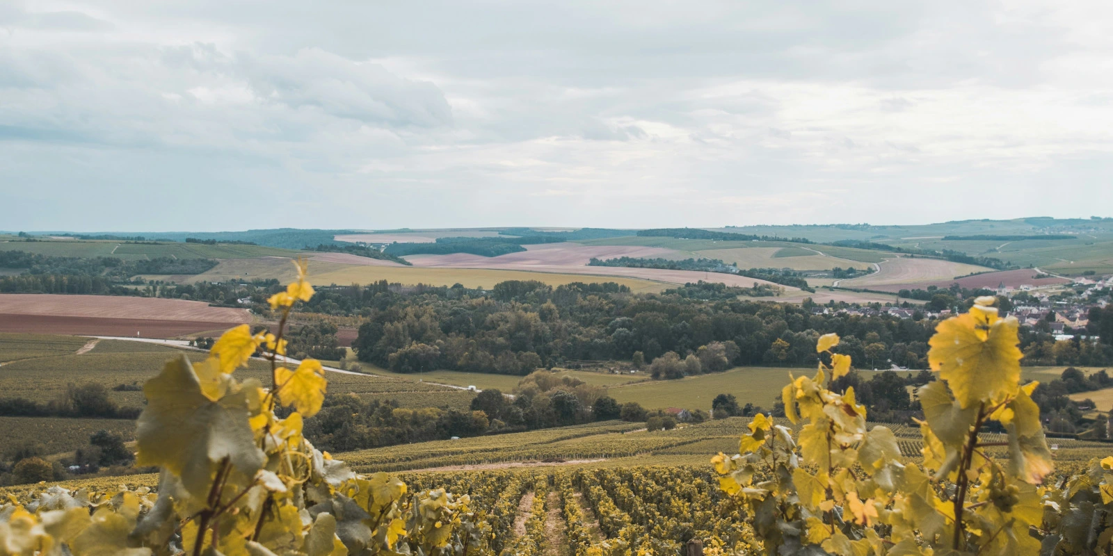 Technologies de l'Information : Évolution et Usages en Communication